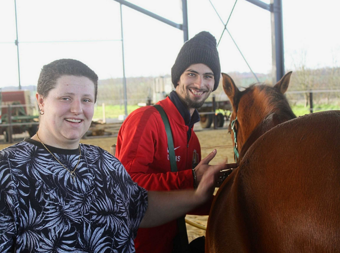 Image hover effect image